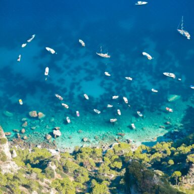 Ischia, Procida, Capri – polpenzia 009