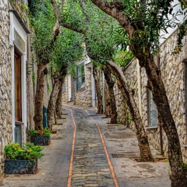 Ischia, Procida, Capri – polpenzia 038