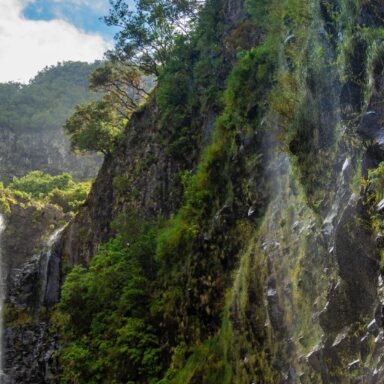 Madeira – ostrov orchideí 007