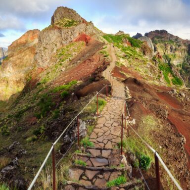 Madeira – ostrov orchideí 015