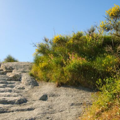 Ischia pre dobrodruhov – plná penzia 029